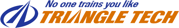 Triangle Tech logo